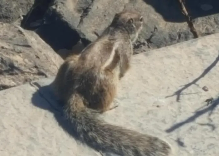 Beautiful, Spacious Villa, Heated Pool, Sleeps Eight, With Quality Furnishings וילה קלטה דה פוסטה